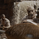 Illustration for article titled Everything the New iBlack Panther /iTrailer Reveals About the Movie